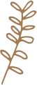 stem